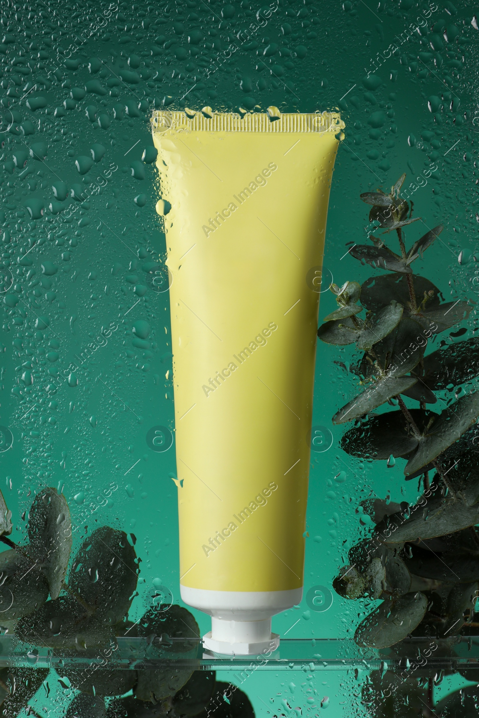 Tube with moisturizing cream and eucalyptus branches on green background, view through wet glass Photo of Tube with moisturizing cream and eucalyptus branches on green background, view through wet glass