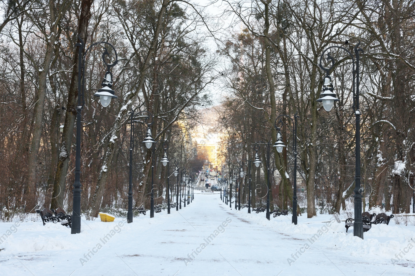 Trees, street lamps and pathway covered with snow in winter park Photo of Trees, street lamps and pathway covered with snow in winter park