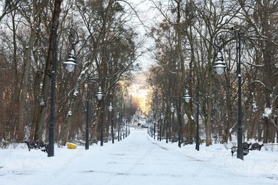 Trees, street lamps and pathway covered with snow in winter park Photo of Trees, street lamps and pathway covered with snow in winter park