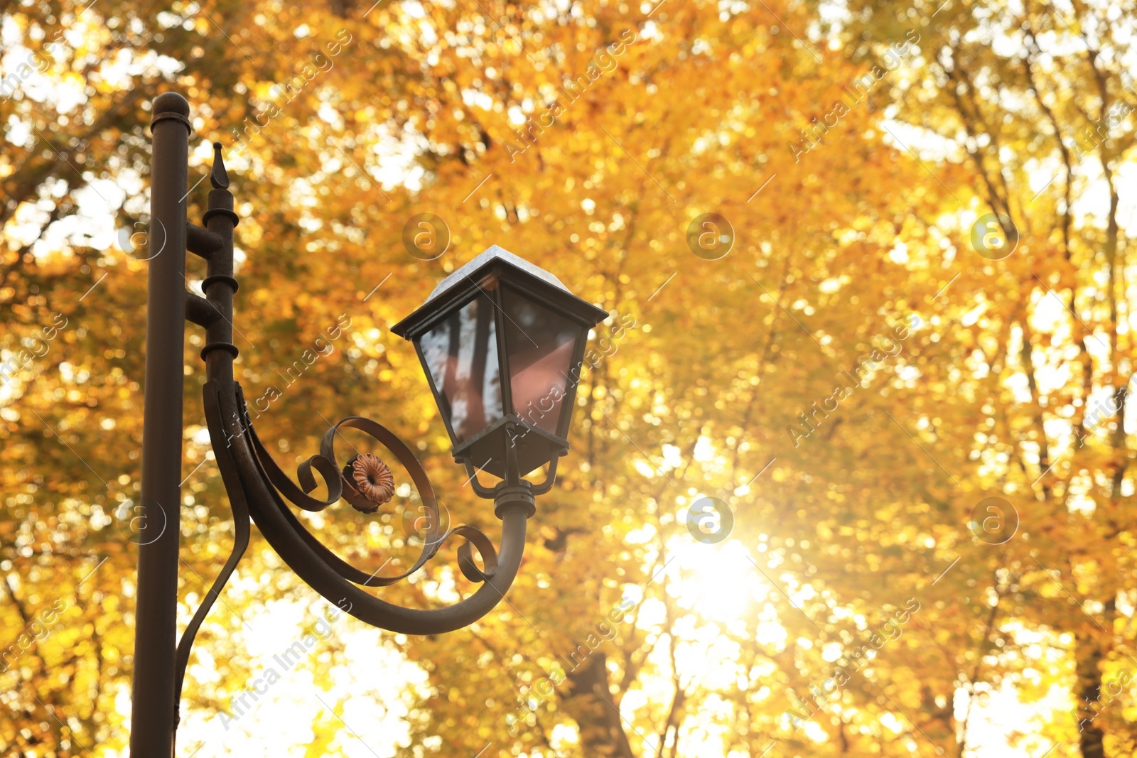 Outdoor vintage streetlight and yellowed trees in park on sunny day Photo of Outdoor vintage streetlight and yellowed trees in park on sunny day