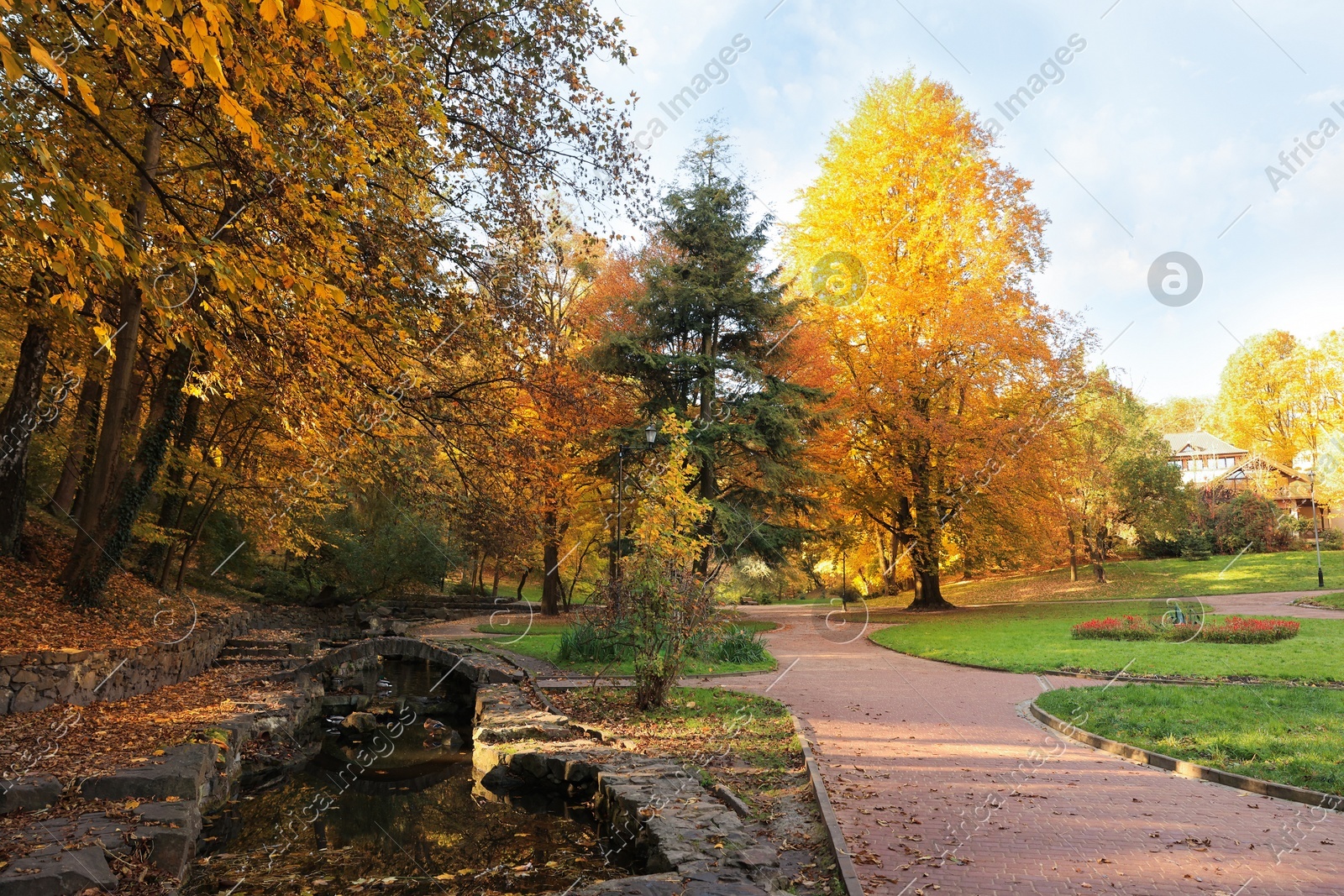 Beautiful yellowed trees and river in park Photo of Beautiful yellowed trees and river in park