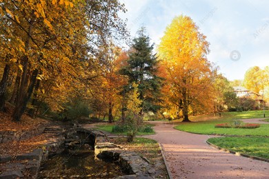 Beautiful yellowed trees and river in park Photo of Beautiful yellowed trees and river in park