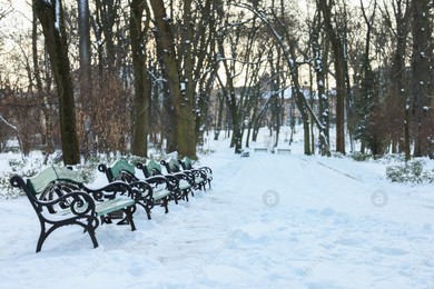 Green benches and trees in snowy park Photo of Green benches and trees in snowy park