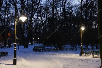 Trees, street lamps and pathway covered with snow in evening park Photo of Trees, street lamps and pathway covered with snow in evening park