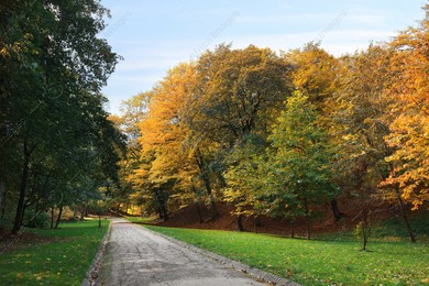 Pathway, green grass and trees in beautiful park on autumn day Photo of Pathway, green grass and trees in beautiful park on autumn day
