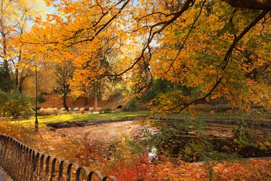 Beautiful yellowed trees and lake in park on sunny day Photo of Beautiful yellowed trees and lake in park on sunny day