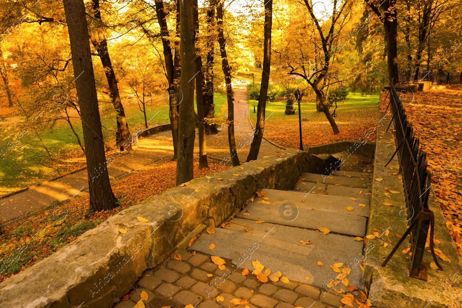 Stone outdoor stairs and yellowed trees in park Photo of Stone outdoor stairs and yellowed trees in park