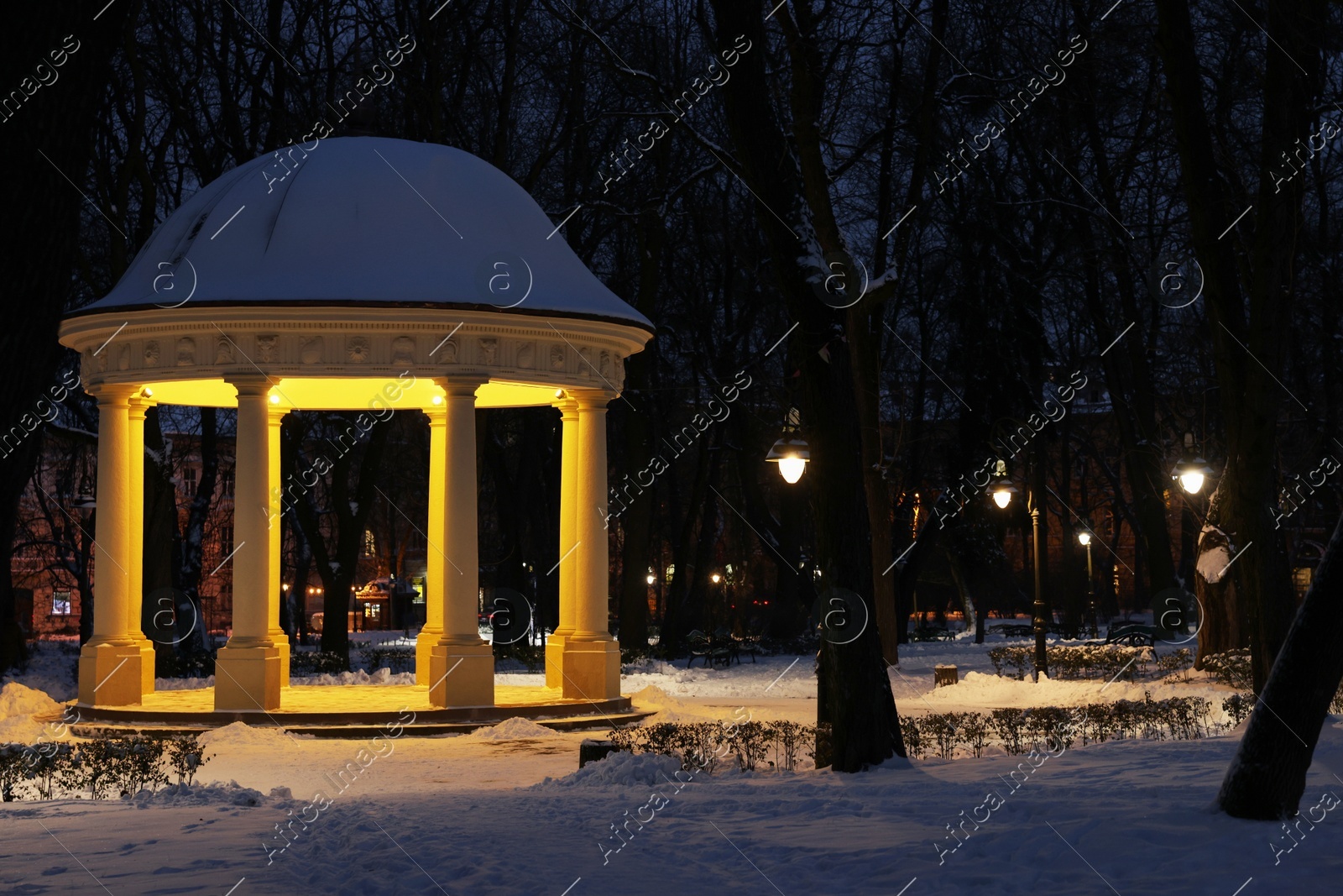 Trees, street lamps, gazebo and snow in evening park Photo of Trees, street lamps, gazebo and snow in evening park