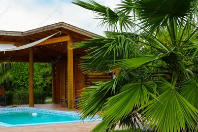 Tropical palm trees with beautiful green leaves near resort and swimming pool outdoors Photo of Tropical palm trees with beautiful green leaves near resort and swimming pool outdoors