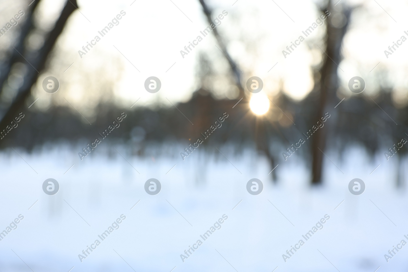 Sunbeams shining through trees in snowy park, blurred view Photo of Sunbeams shining through trees in snowy park, blurred view