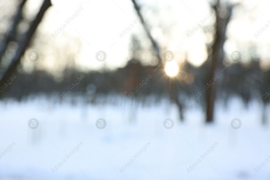 Sunbeams shining through trees in snowy park, blurred view Photo of Sunbeams shining through trees in snowy park, blurred view