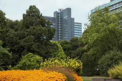 Beautiful view of buildings and green trees in city Photo of Beautiful view of buildings and green trees in city