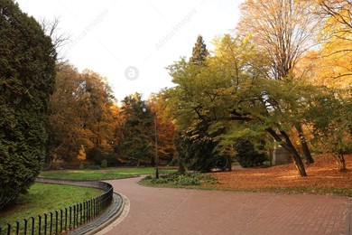 Beautiful yellowed trees and paved pathway in park Photo of Beautiful yellowed trees and paved pathway in park