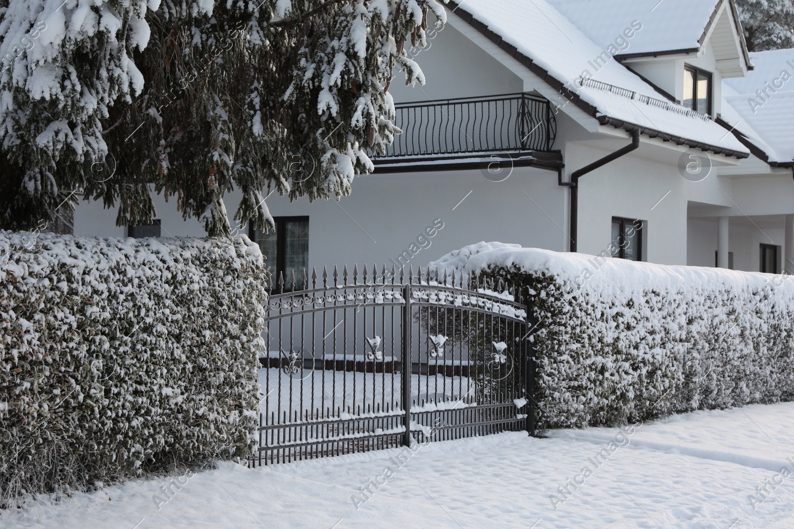 Winter landscape with beautiful houses, trees and bushes in morning Photo of Winter landscape with beautiful houses, trees and bushes in morning