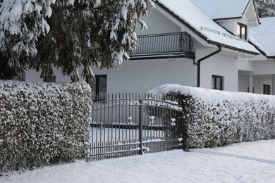 Winter landscape with beautiful houses, trees and bushes in morning Photo of Winter landscape with beautiful houses, trees and bushes in morning