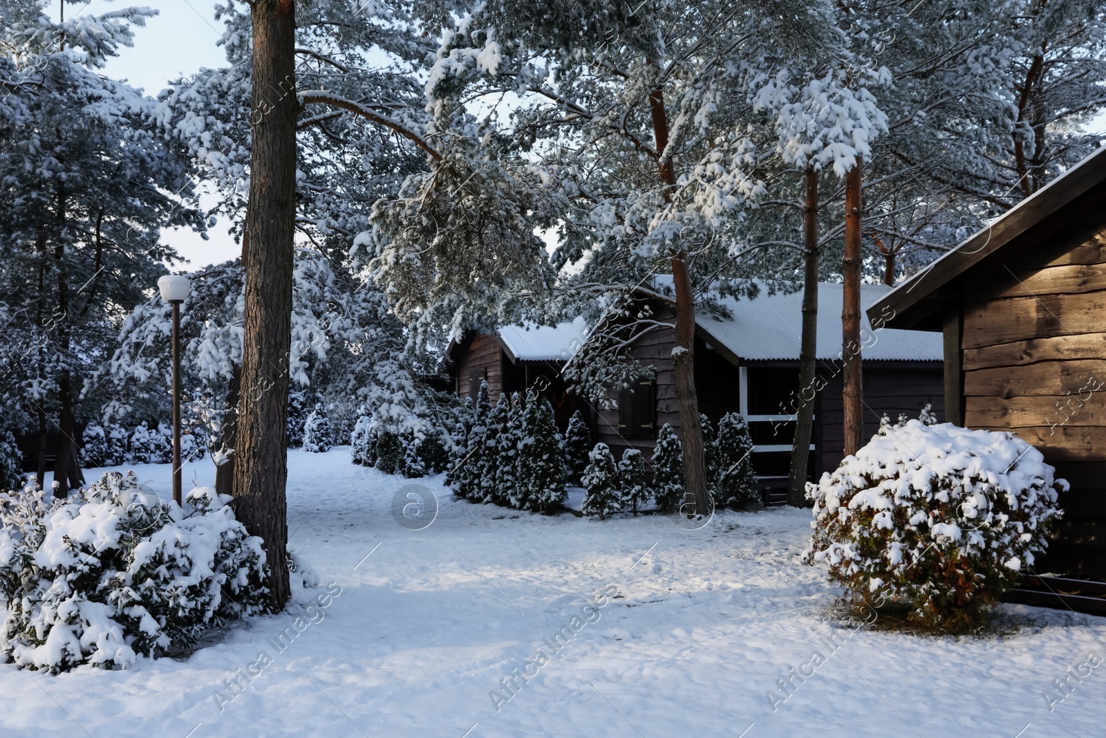 Winter landscape with wooden houses, trees and bushes in morning Photo of Winter landscape with wooden houses, trees and bushes in morning