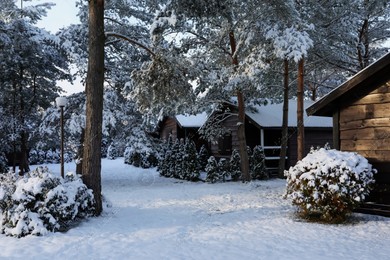 Winter landscape with wooden houses, trees and bushes in morning Photo of Winter landscape with wooden houses, trees and bushes in morning