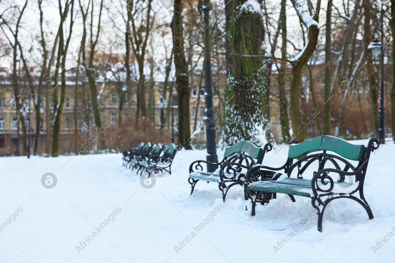 Green benches, trees and buildings in snowy park Photo of Green benches, trees and buildings in snowy park