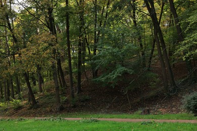 Pathway, green grass and trees in beautiful public city park on autumn day Photo of Pathway, green grass and trees in beautiful public city park on autumn day