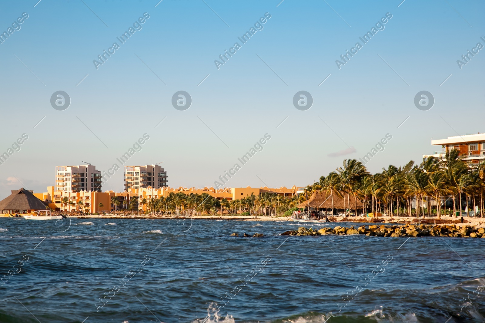 Picturesque view of sea coast, palm trees and distant resort on sunny day Photo of Picturesque view of sea coast, palm trees and distant resort on sunny day