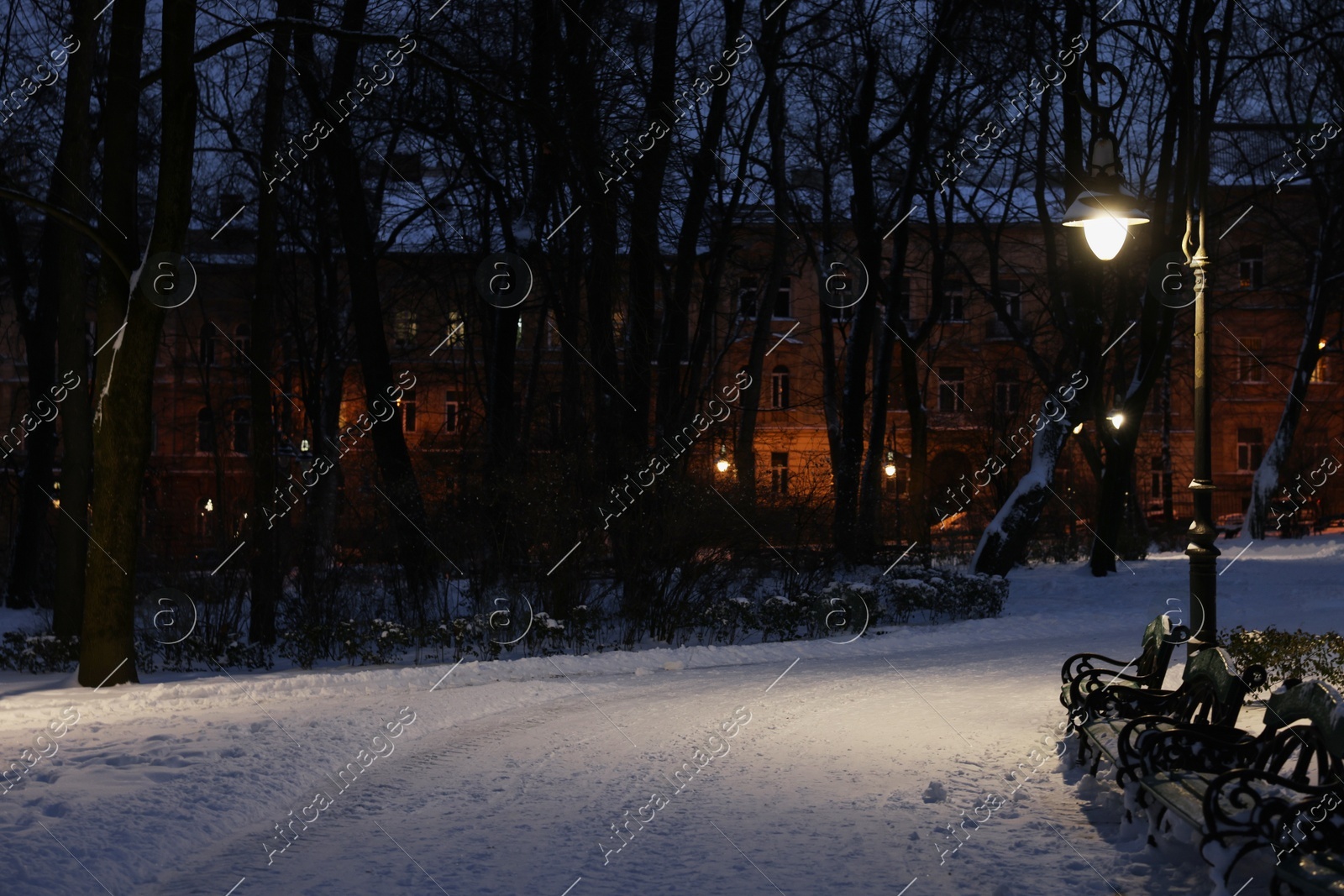 Trees, street lamp and pathway covered with snow in evening park Photo of Trees, street lamp and pathway covered with snow in evening park