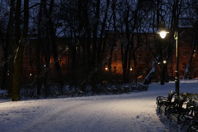 Trees, street lamp and pathway covered with snow in evening park Photo of Trees, street lamp and pathway covered with snow in evening park