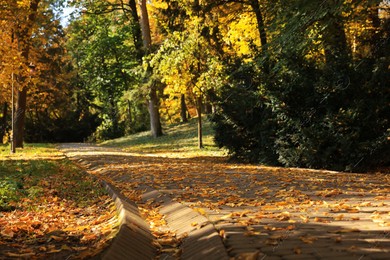 Pathway, fallen leaves and trees in beautiful park on autumn day Photo of Pathway, fallen leaves and trees in beautiful park on autumn day