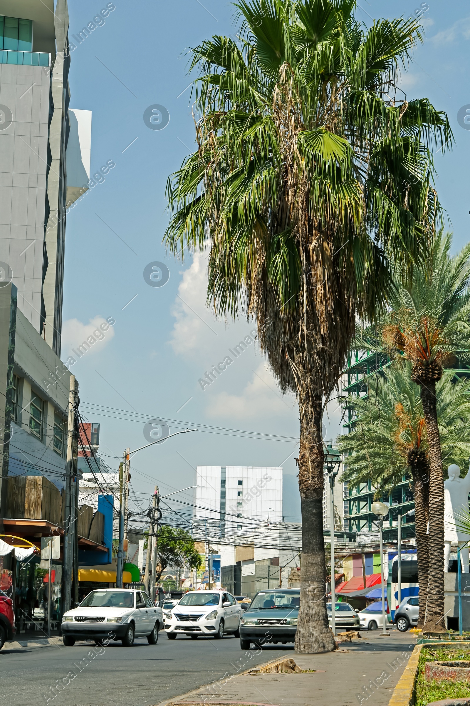 Blurred view of city street with modern buildings and palm trees Photo of Blurred view of city street with modern buildings and palm trees