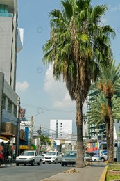 Blurred view of city street with modern buildings and palm trees Photo of Blurred view of city street with modern buildings and palm trees