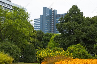 Beautiful view of buildings and green trees in city Photo of Beautiful view of buildings and green trees in city