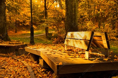 Wooden benches and yellowed trees in park on sunny day Photo of Wooden benches and yellowed trees in park on sunny day