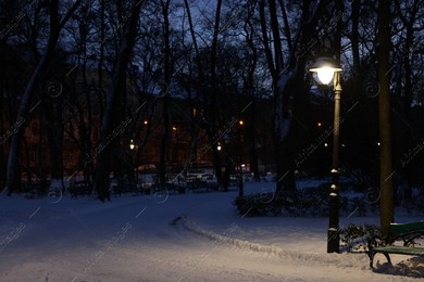 Trees, street lamp and pathway covered with snow in evening park Photo of Trees, street lamp and pathway covered with snow in evening park