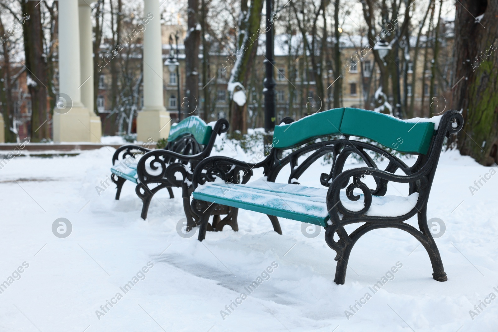 Green benches and trees in snowy park Photo of Green benches and trees in snowy park