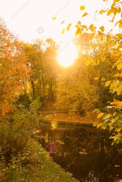 Beautiful yellowed trees and lake in park on sunny day Photo of Beautiful yellowed trees and lake in park on sunny day