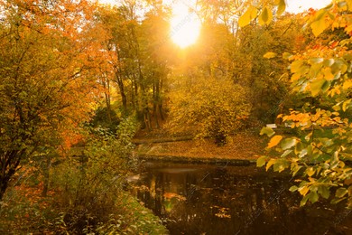 Beautiful yellowed trees and lake in park on sunny day Photo of Beautiful yellowed trees and lake in park on sunny day