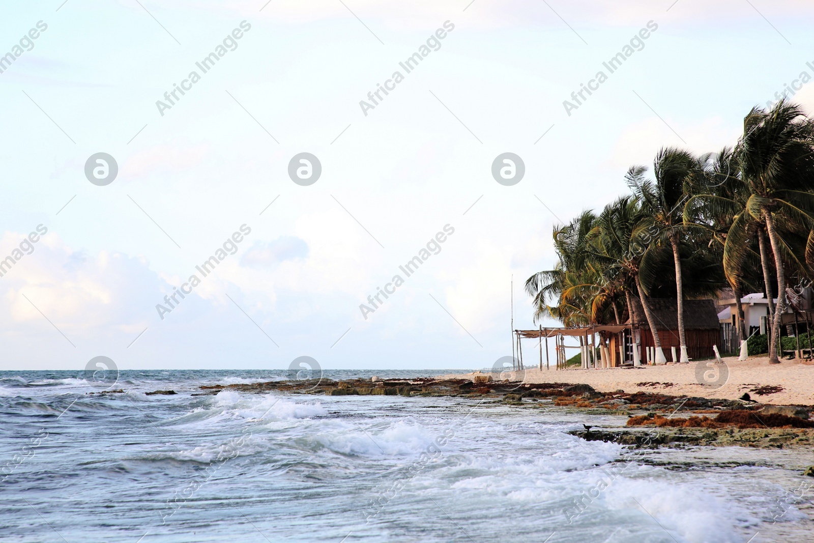 Beautiful tropical beach with palm trees near sea Photo of Beautiful tropical beach with palm trees near sea