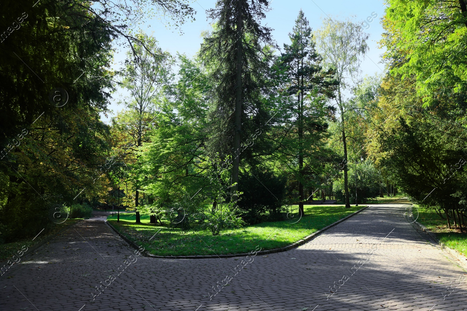 Pathway, fallen leaves and trees in beautiful park on autumn day Photo of Pathway, fallen leaves and trees in beautiful park on autumn day