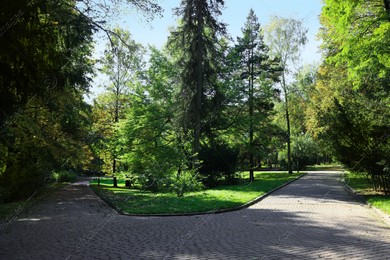 Pathway, fallen leaves and trees in beautiful park on autumn day Photo of Pathway, fallen leaves and trees in beautiful park on autumn day