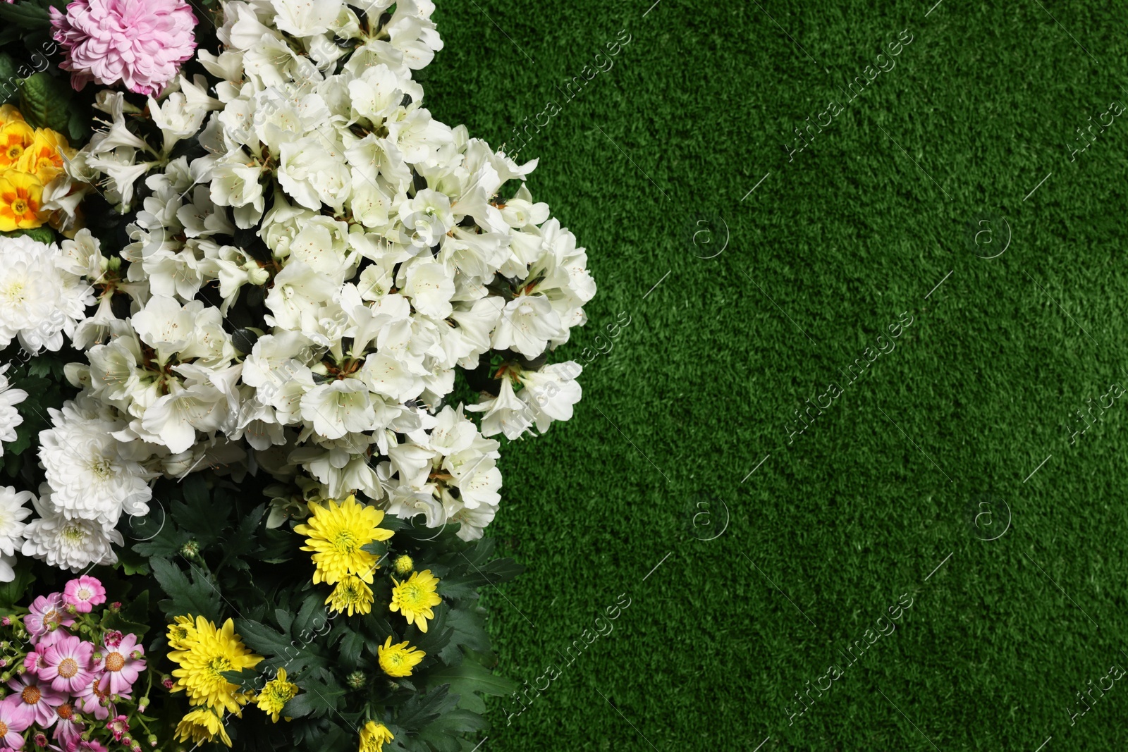 Different beautiful flowers on green grass, flat lay. Space for text Photo of Different beautiful flowers on green grass, flat lay. Space for text