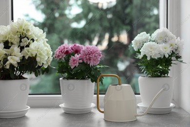 Beautiful chrysanthemum, azalea flowers in pots and watering can on windowsill indoors Photo of Beautiful chrysanthemum, azalea flowers in pots and watering can on windowsill indoors