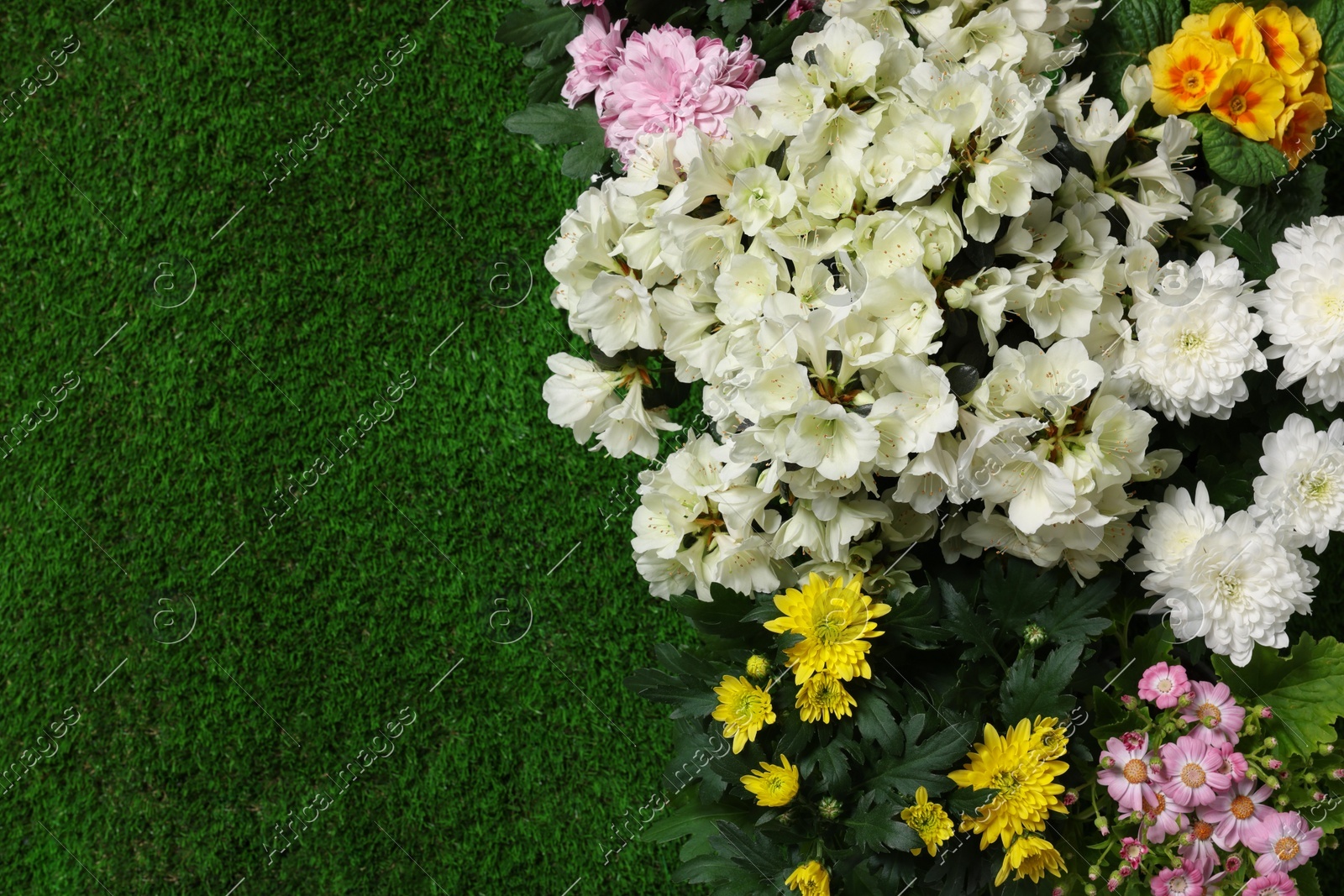 Different beautiful flowers on green grass, flat lay. Space for text Photo of Different beautiful flowers on green grass, flat lay. Space for text