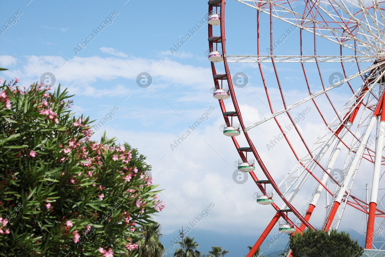 Beautiful large Ferris wheel outdoors on sunny day Photo of Beautiful large Ferris wheel outdoors on sunny day