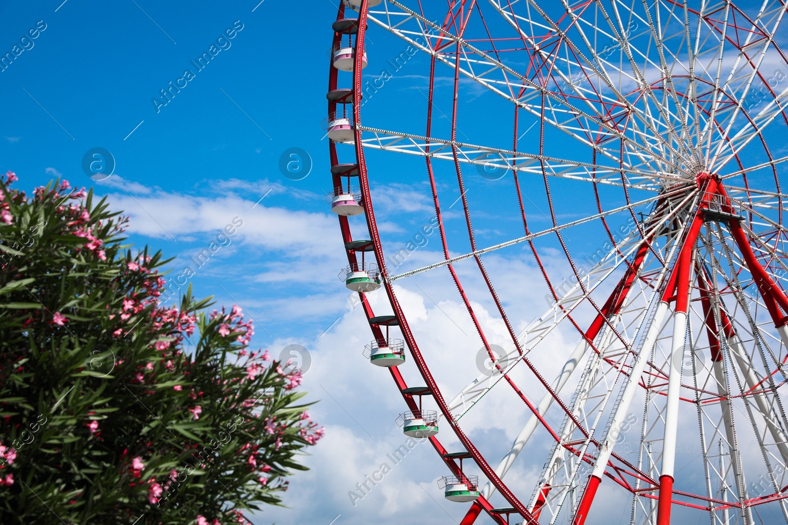 Beautiful large Ferris wheel outdoors on sunny day Photo of Beautiful large Ferris wheel outdoors on sunny day