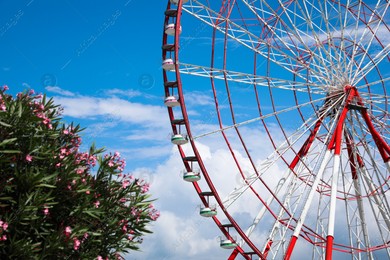 Beautiful large Ferris wheel outdoors on sunny day Photo of Beautiful large Ferris wheel outdoors on sunny day