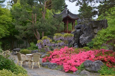 HAREN, NETHERLANDS - MAY 23, 2022: Beautiful view of plants and oriental gazebo in Chinese garden Photo of HAREN, NETHERLANDS - MAY 23, 2022: Beautiful view of plants and oriental gazebo in Chinese garden