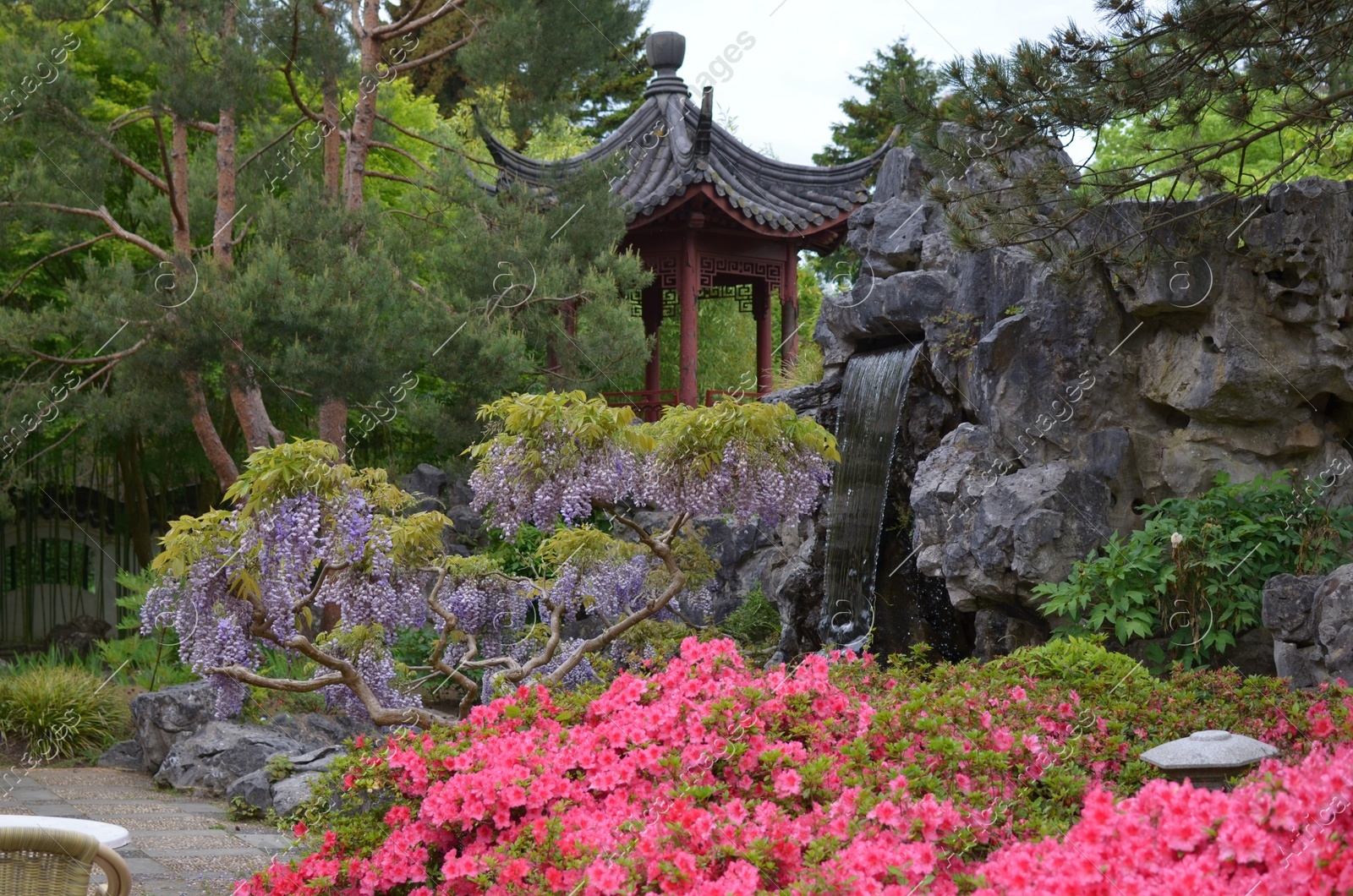 HAREN, NETHERLANDS - MAY 23, 2022: Beautiful view of different plants and oriental gazebo in Chinese garden Photo of HAREN, NETHERLANDS - MAY 23, 2022: Beautiful view of different plants and oriental gazebo in Chinese garden