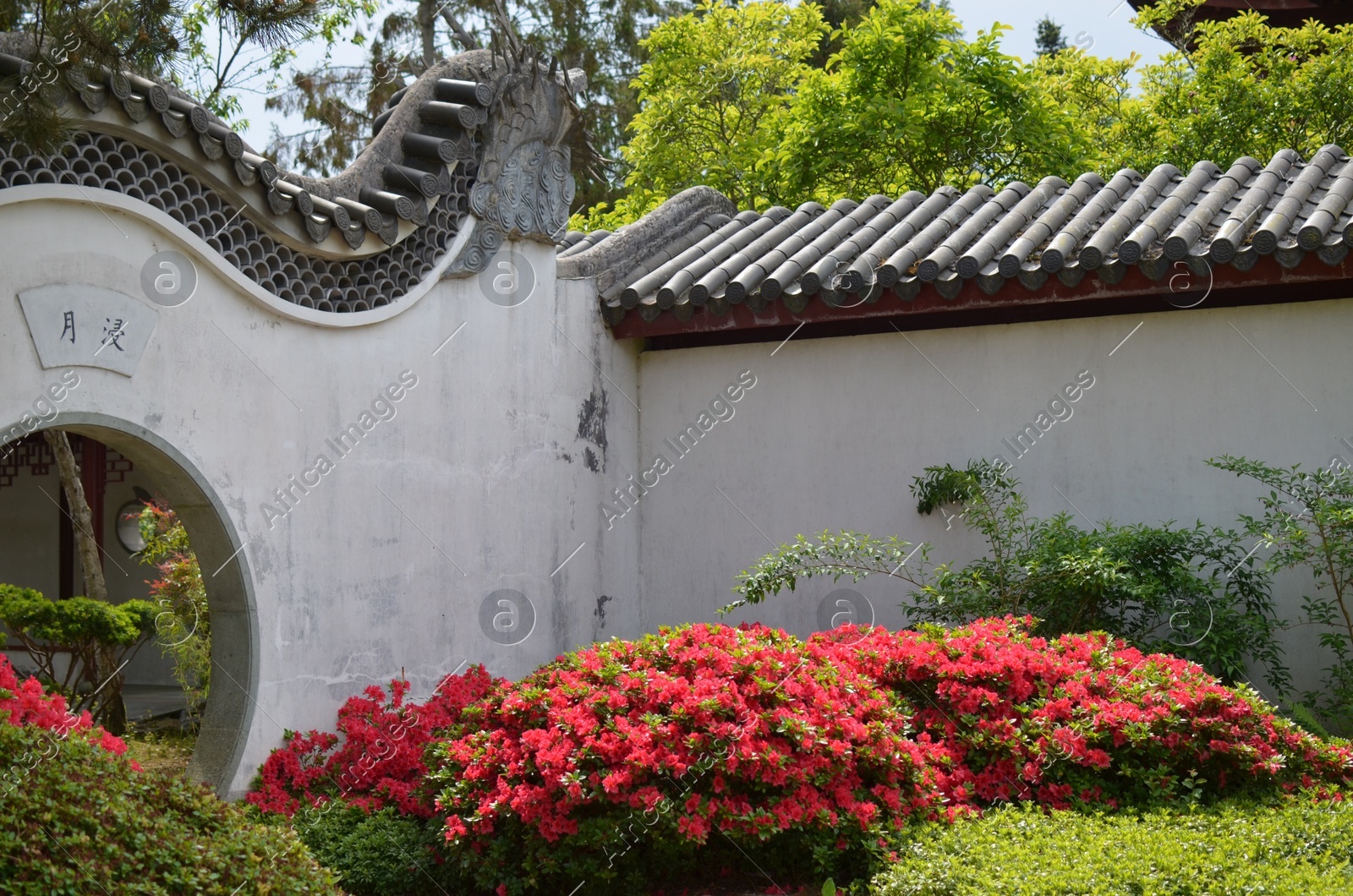 HAREN, NETHERLANDS - MAY 23, 2022: Beautiful view of blooming bushes and Moon gate in Chinese garden Photo of HAREN, NETHERLANDS - MAY 23, 2022: Beautiful view of blooming bushes and Moon gate in Chinese garden