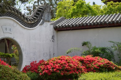 HAREN, NETHERLANDS - MAY 23, 2022: Beautiful view of blooming bushes and Moon gate in Chinese garden Photo of HAREN, NETHERLANDS - MAY 23, 2022: Beautiful view of blooming bushes and Moon gate in Chinese garden