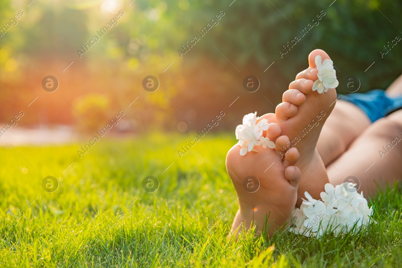 Teenage girl with beautiful hortensia flowers lying on green grass outdoors, closeup. Space for text Photo of Teenage girl with beautiful hortensia flowers lying on green grass outdoors, closeup. Space for text