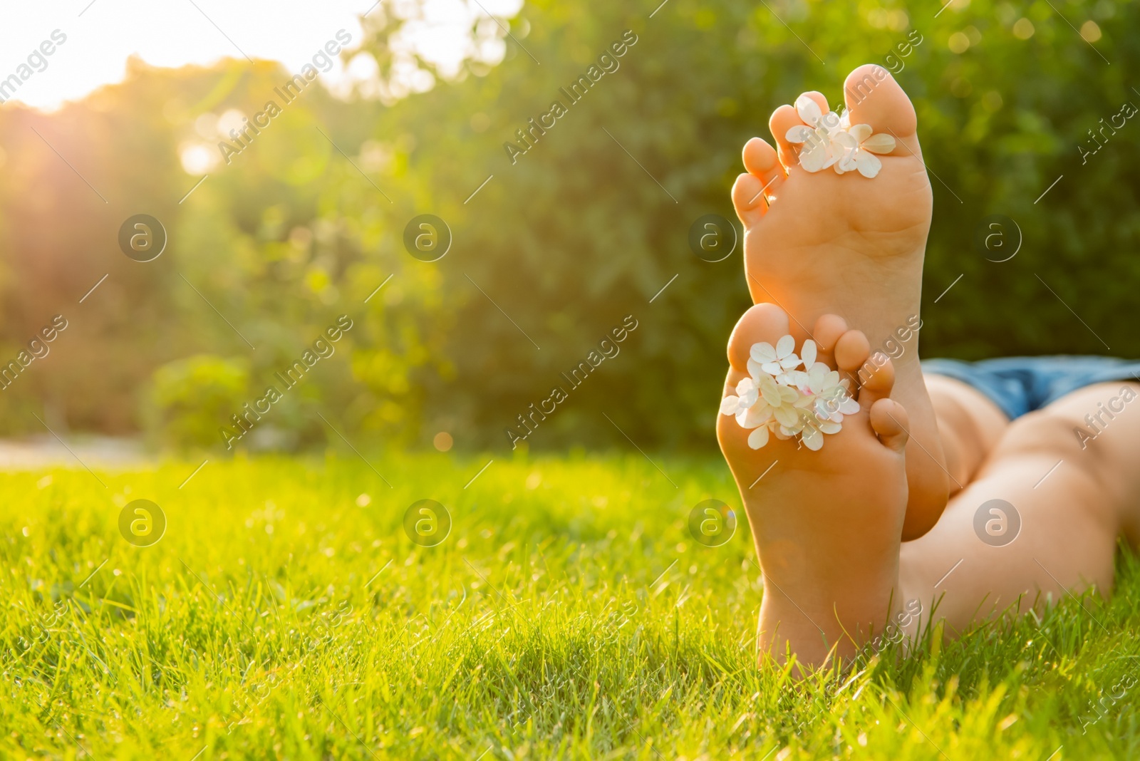 Teenage girl with beautiful hortensia flowers lying on green grass outdoors, closeup. Space for text Photo of Teenage girl with beautiful hortensia flowers lying on green grass outdoors, closeup. Space for text